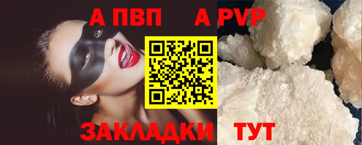 A PVP СК КРИС Тамбов