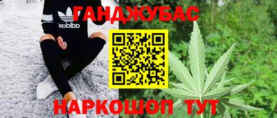 прущие крисы Гай