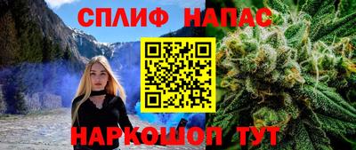 mdma Гатчина