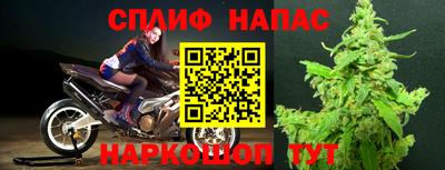 прущие крисы Гай