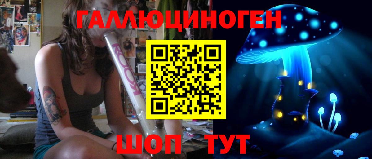 Галлюциногенные грибы Psilocybe Тамбов